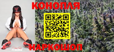 ALPHA-PVP Камышлов