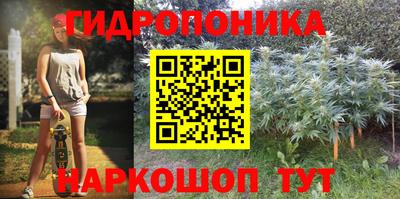 ALPHA-PVP Камышлов