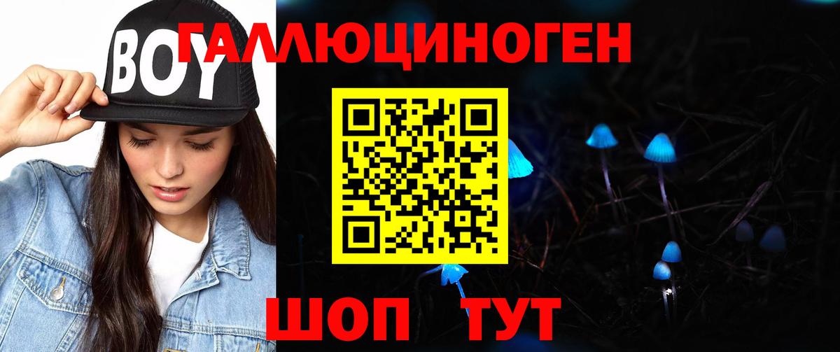 Котовск  Галлюциногенные грибы Cubensis  Вход с VPN  как найти наркотики  Галлюциногенные грибы Magic Shrooms 